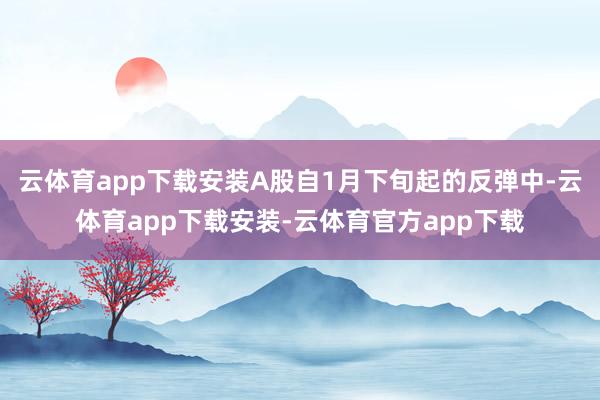 云体育app下载安装A股自1月下旬起的反弹中-云体育app下载安装-云体育官方app下载
