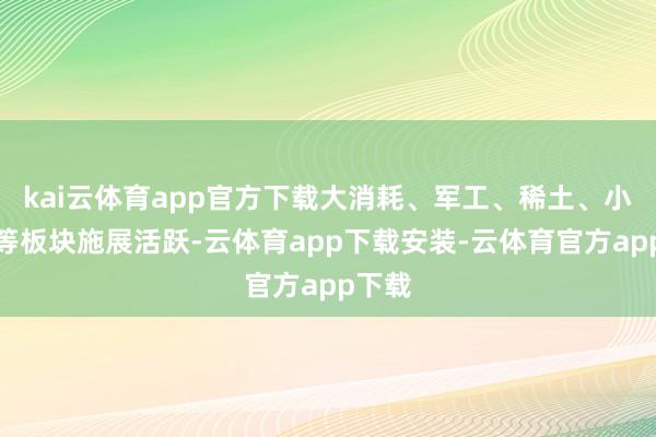 kai云体育app官方下载大消耗、军工、稀土、小金属等板块施展活跃-云体育app下载安装-云体育官方app下载