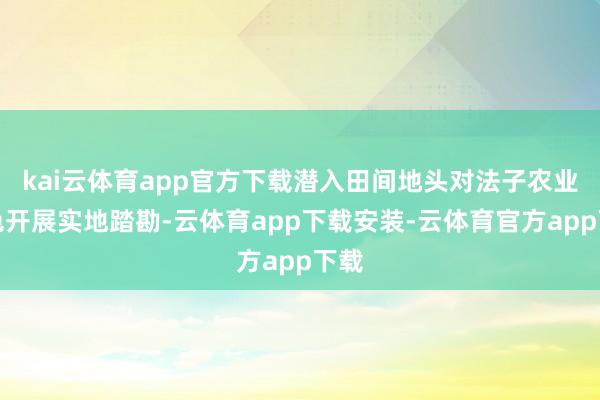 kai云体育app官方下载潜入田间地头对法子农业神色开展实地踏勘-云体育app下载安装-云体育官方app下载