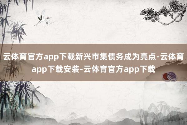 云体育官方app下载新兴市集债务成为亮点-云体育app下载安装-云体育官方app下载